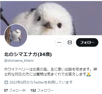 北のシマエナガ